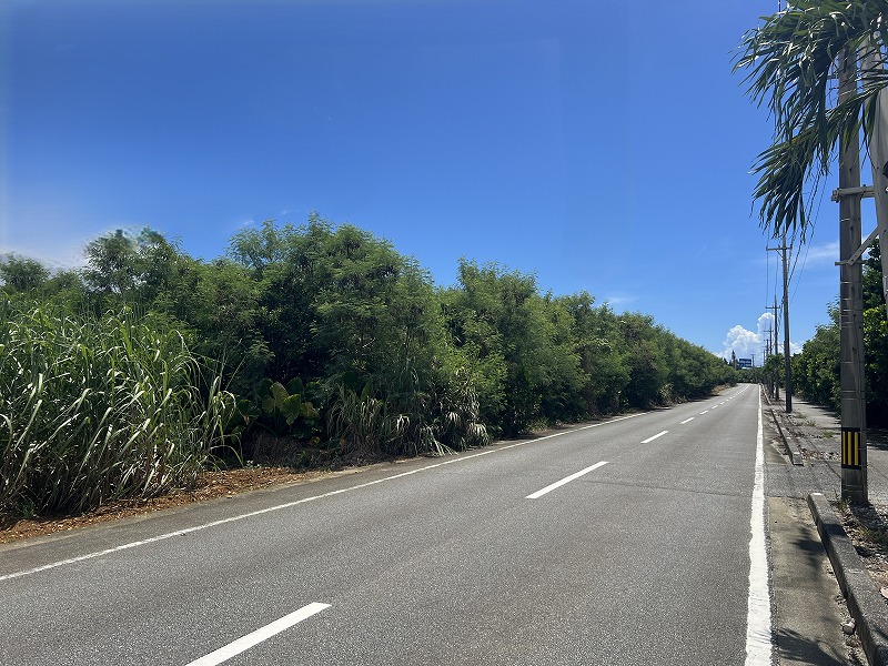 与那覇前浜ビーチ近く　約1,443坪　原野・山林