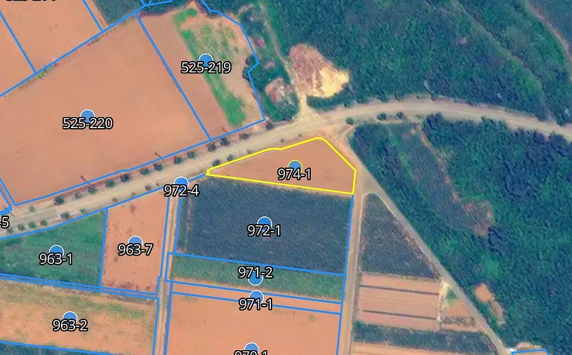 城辺友利 国道沿い　約1.5反　農用地