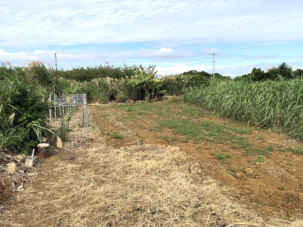 西仲宗根　添道近く　170坪　畑