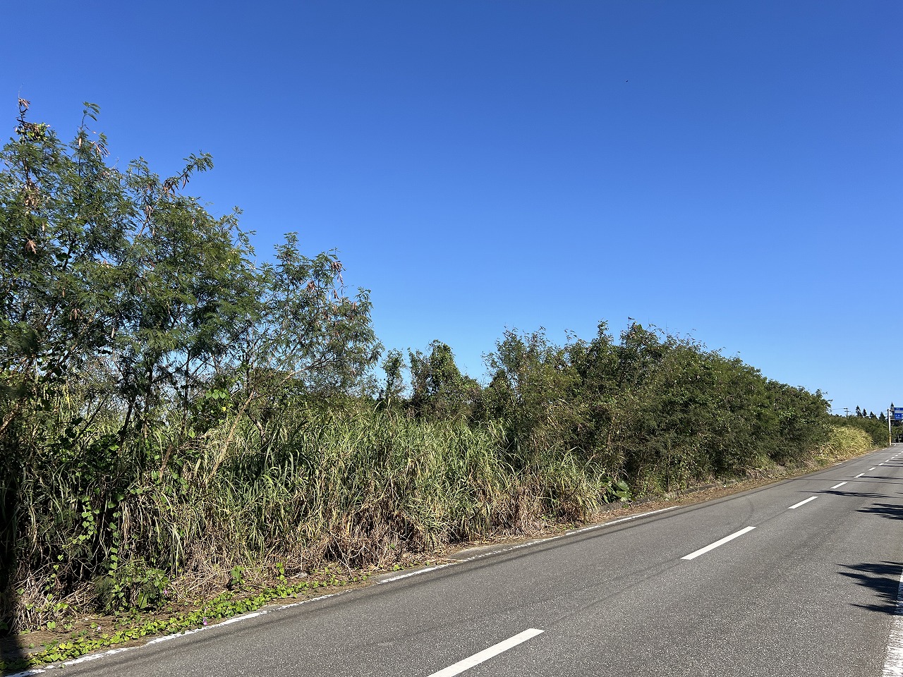 下地与那覇前浜ビーチ近く　約689坪　原野