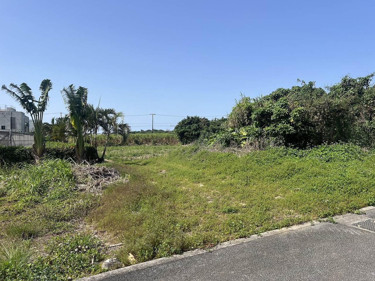 平良狩俣で畑を耕しながら暮らす　約442坪　畑