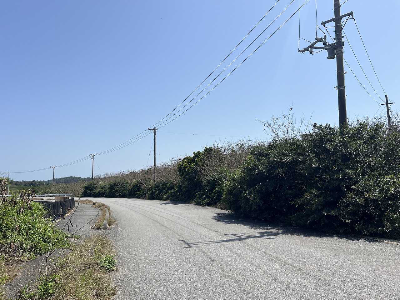 平良狩俣 海を望む角地 約405坪 原野