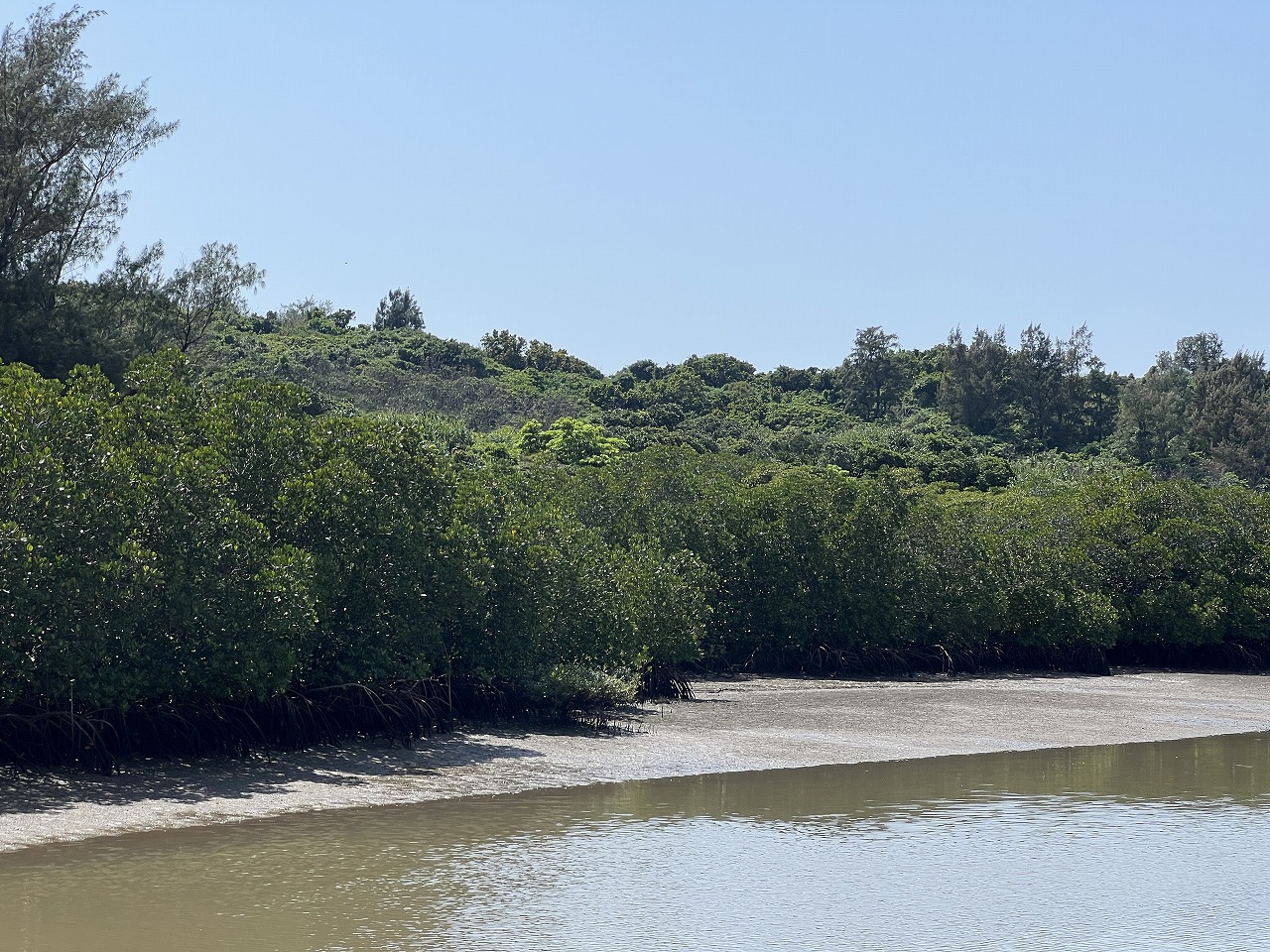 平良狩俣 マングローブ林に面した土地 約880坪 原野
