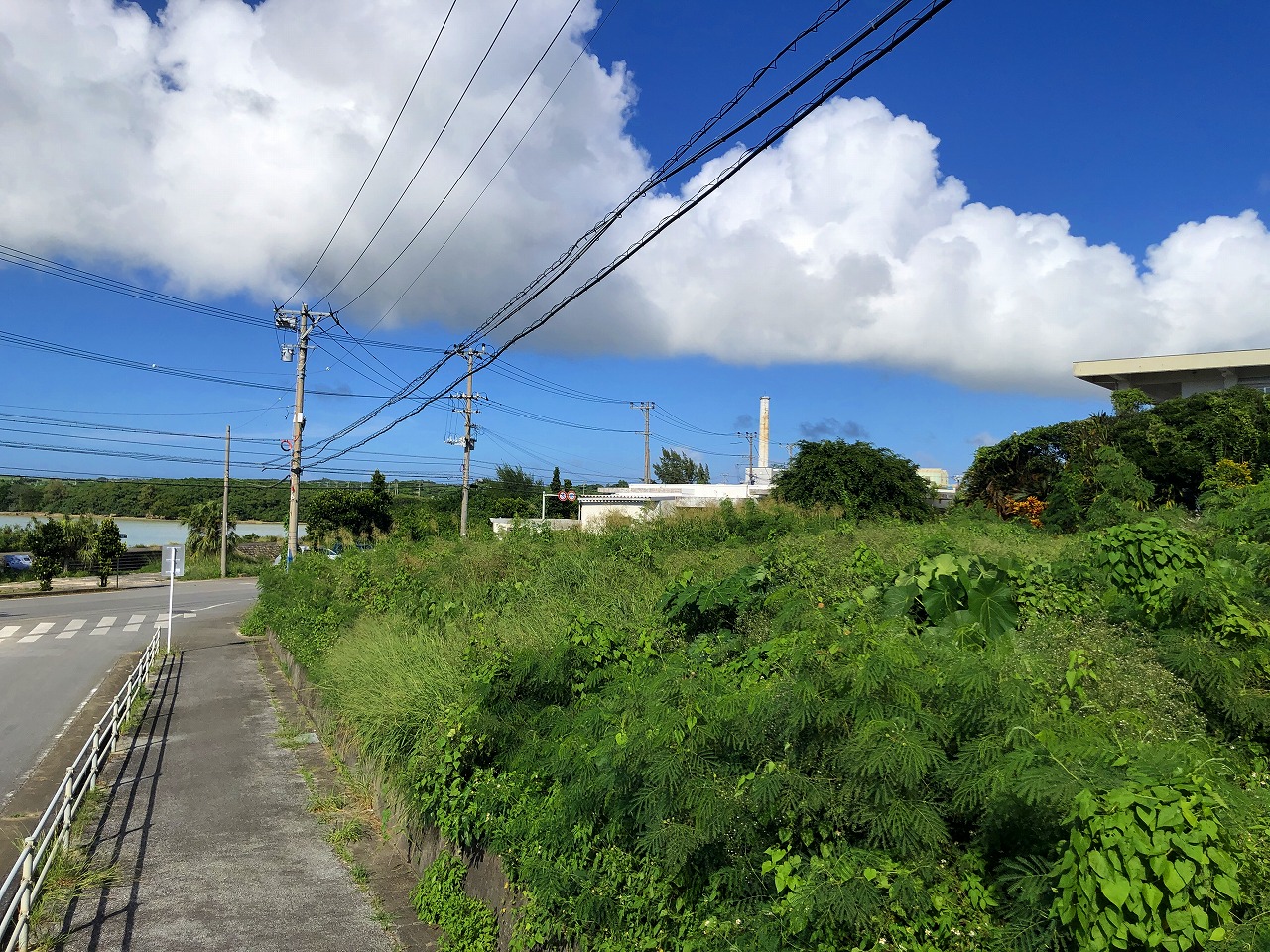 下地 与那覇湾に面した角地　284坪　原野