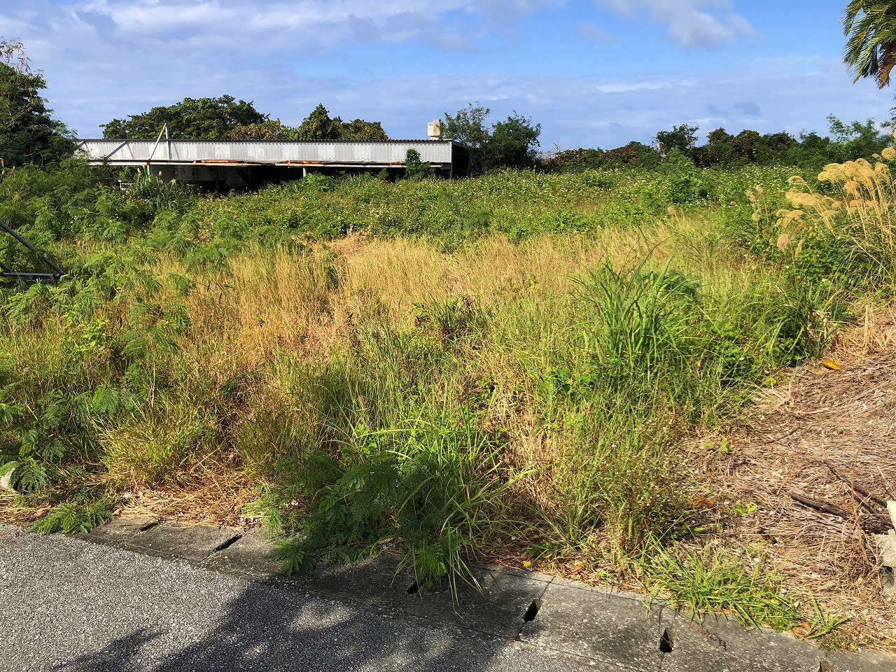 久貝の高台から海と宮古島を一望できる　約312坪　原野