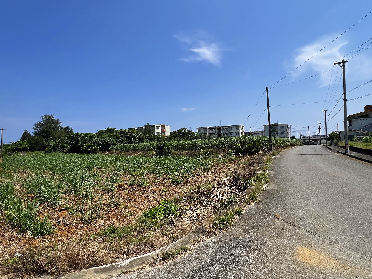 城辺福里 約1,611坪 原野・畑 古屋あり
