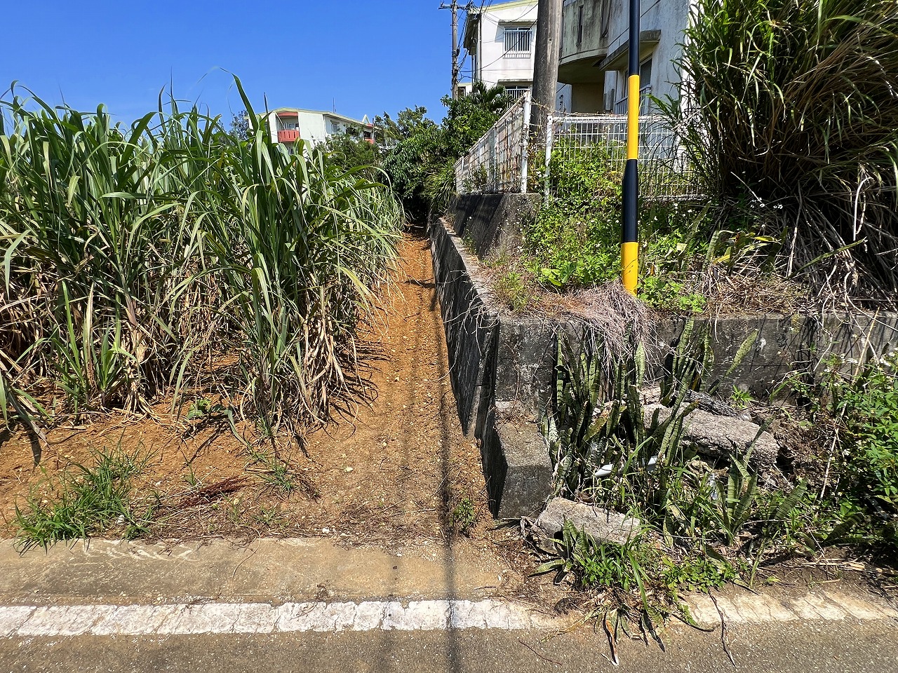 城辺福里団地横の土地　約529坪　畑