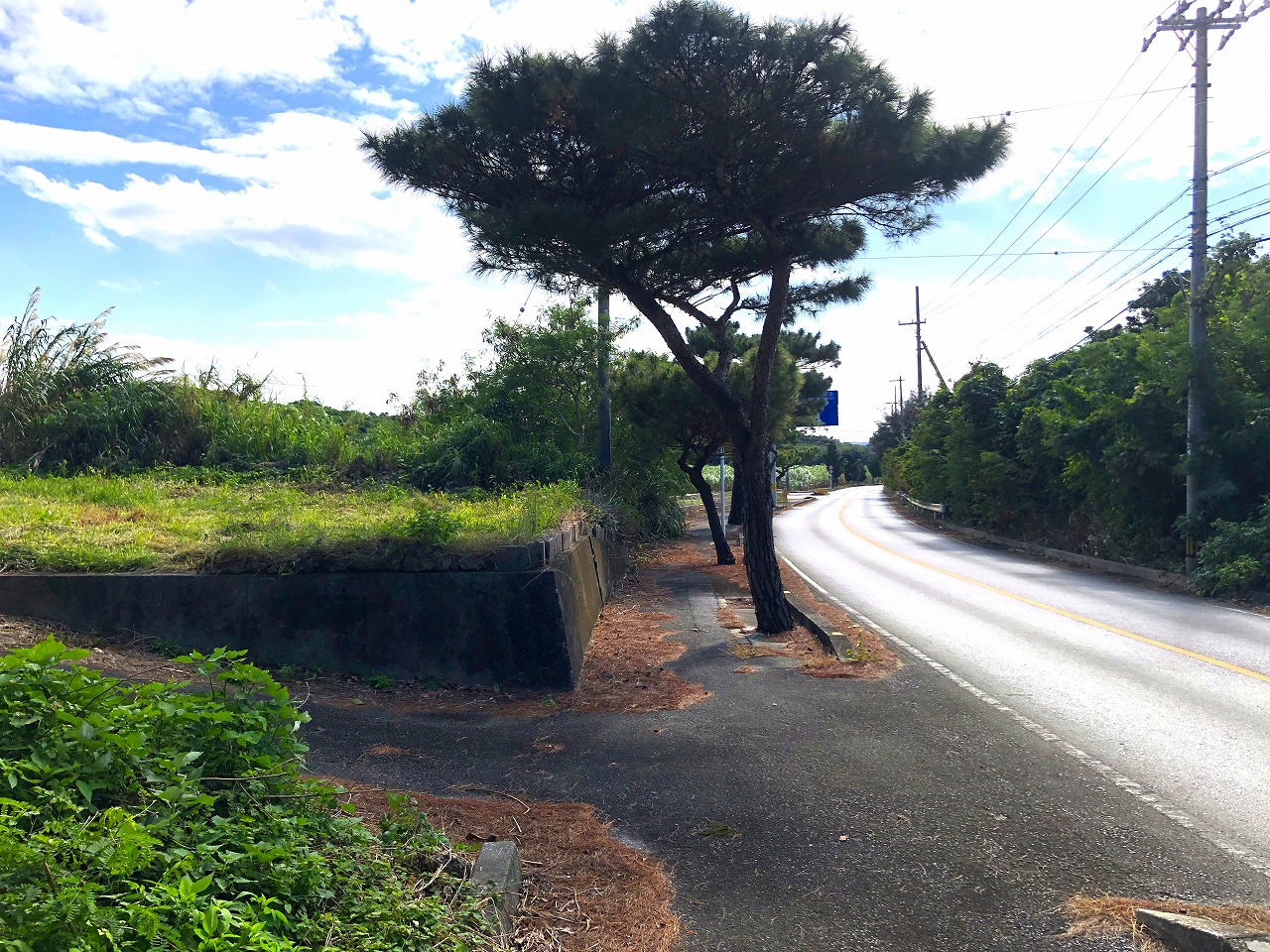 大浦でスローライフを夢見て　147坪　農用地・原野