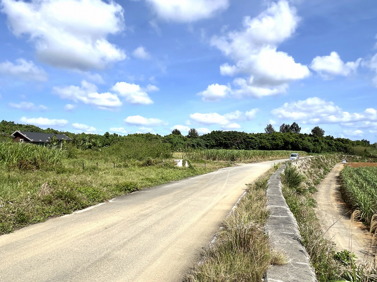 城辺長間 約1,000坪の土地と雄大な景色 木造 コテージ