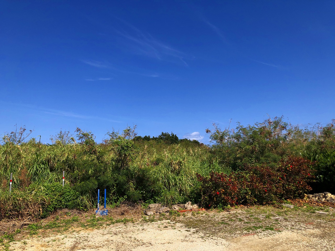 長北海岸 絶景のオーシャンビュー　約731坪　畑・原野