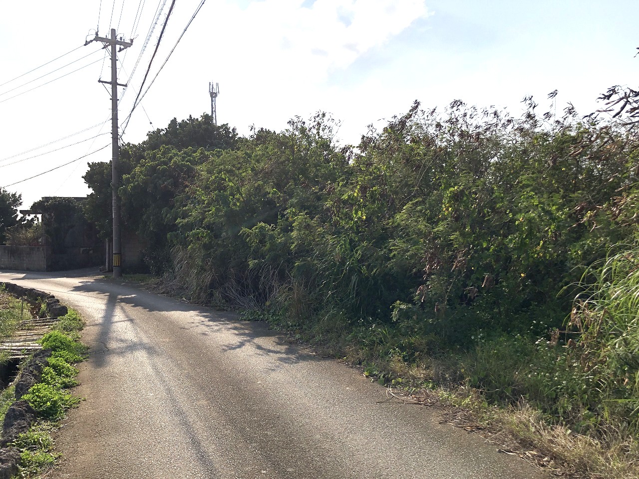 平良下里 JTAドーム南東側　2093坪　畑　農用地