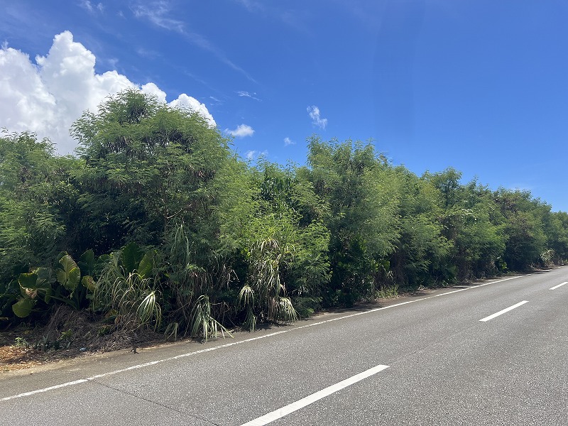 与那覇前浜ビーチ近く　約1,443坪　原野・山林