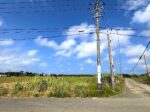 平良西里野原越公民館隣　約151坪　畑