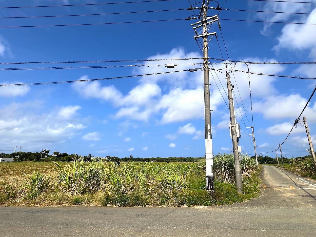 平良西里野原越公民館隣　約151坪　畑