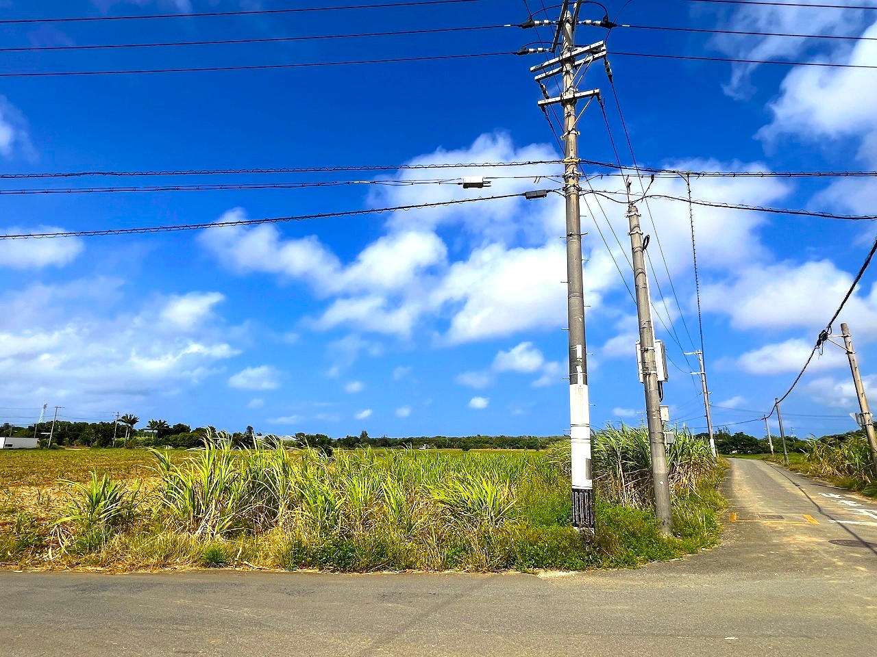 平良西里野原越公民館隣　約151坪　畑