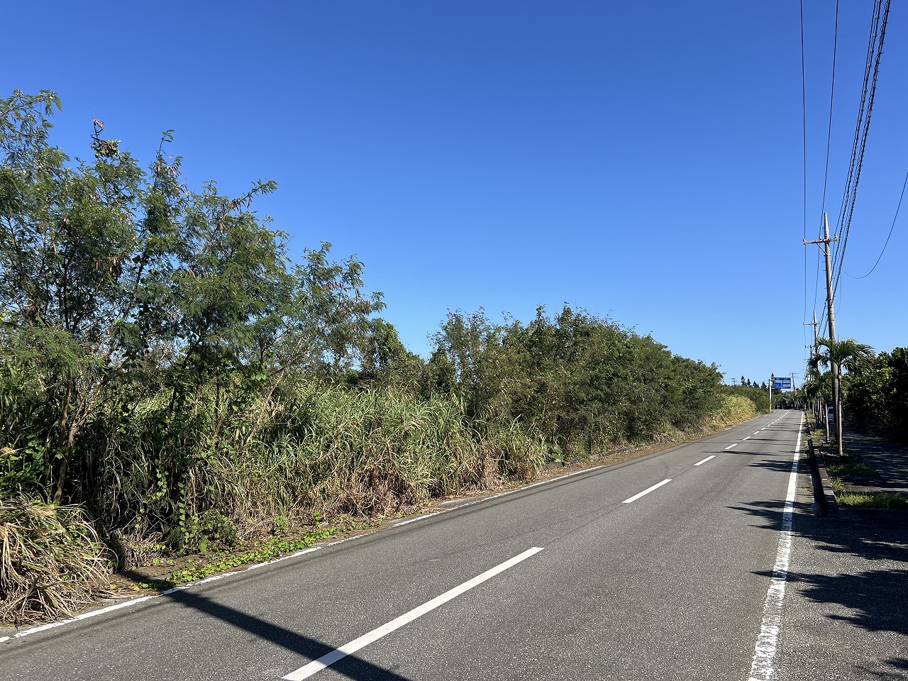 下地与那覇前浜ビーチ近く　約689坪　原野