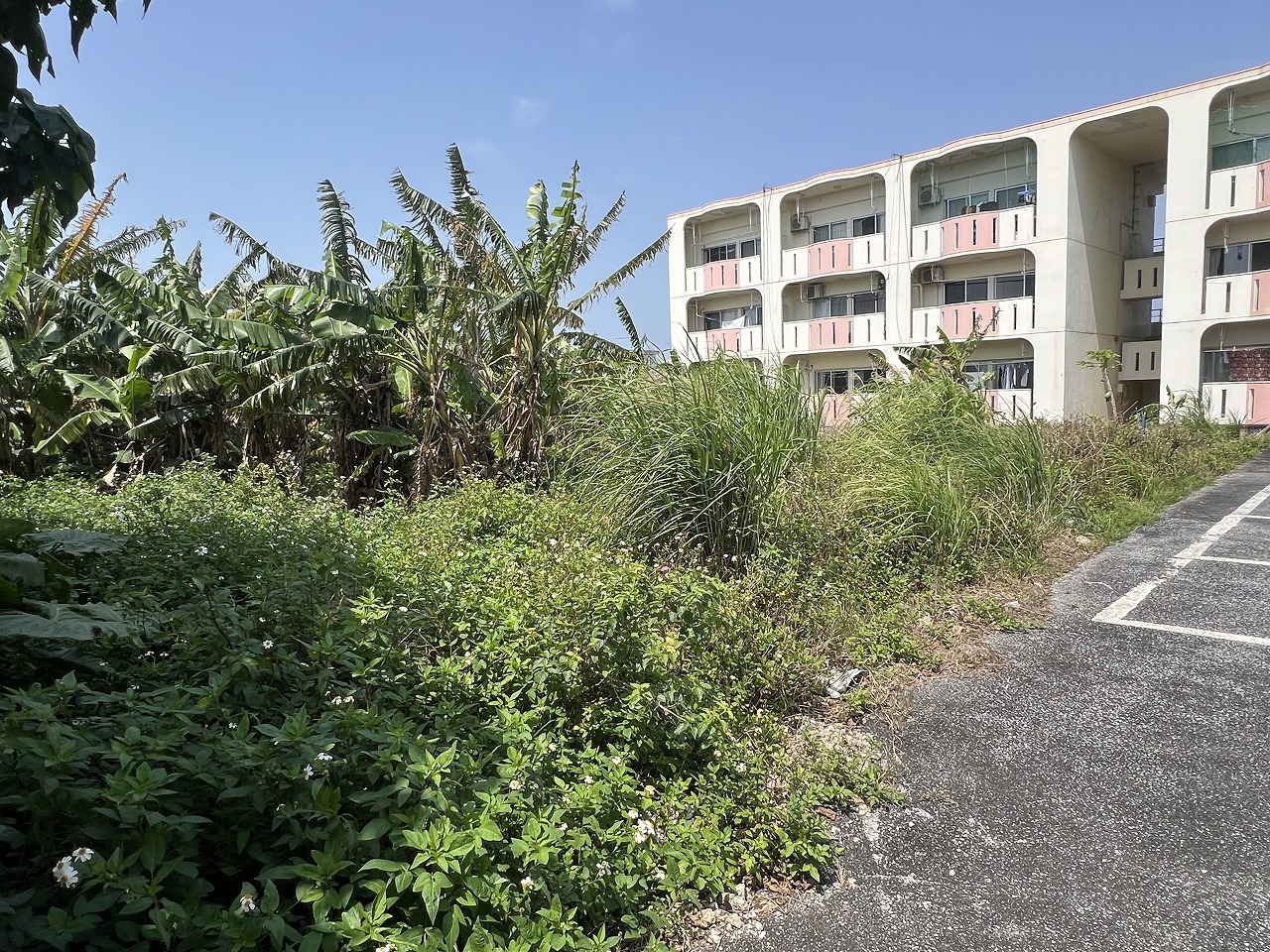 平良下里腰原アパート用地　約294坪　畑