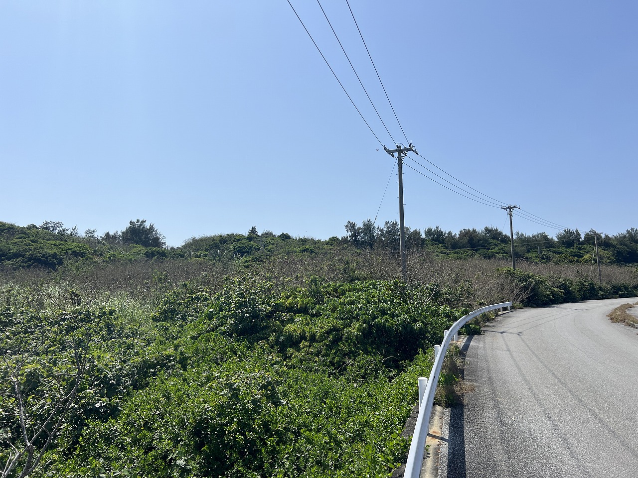 平良狩俣 海が見える土地 約1,747坪 原野