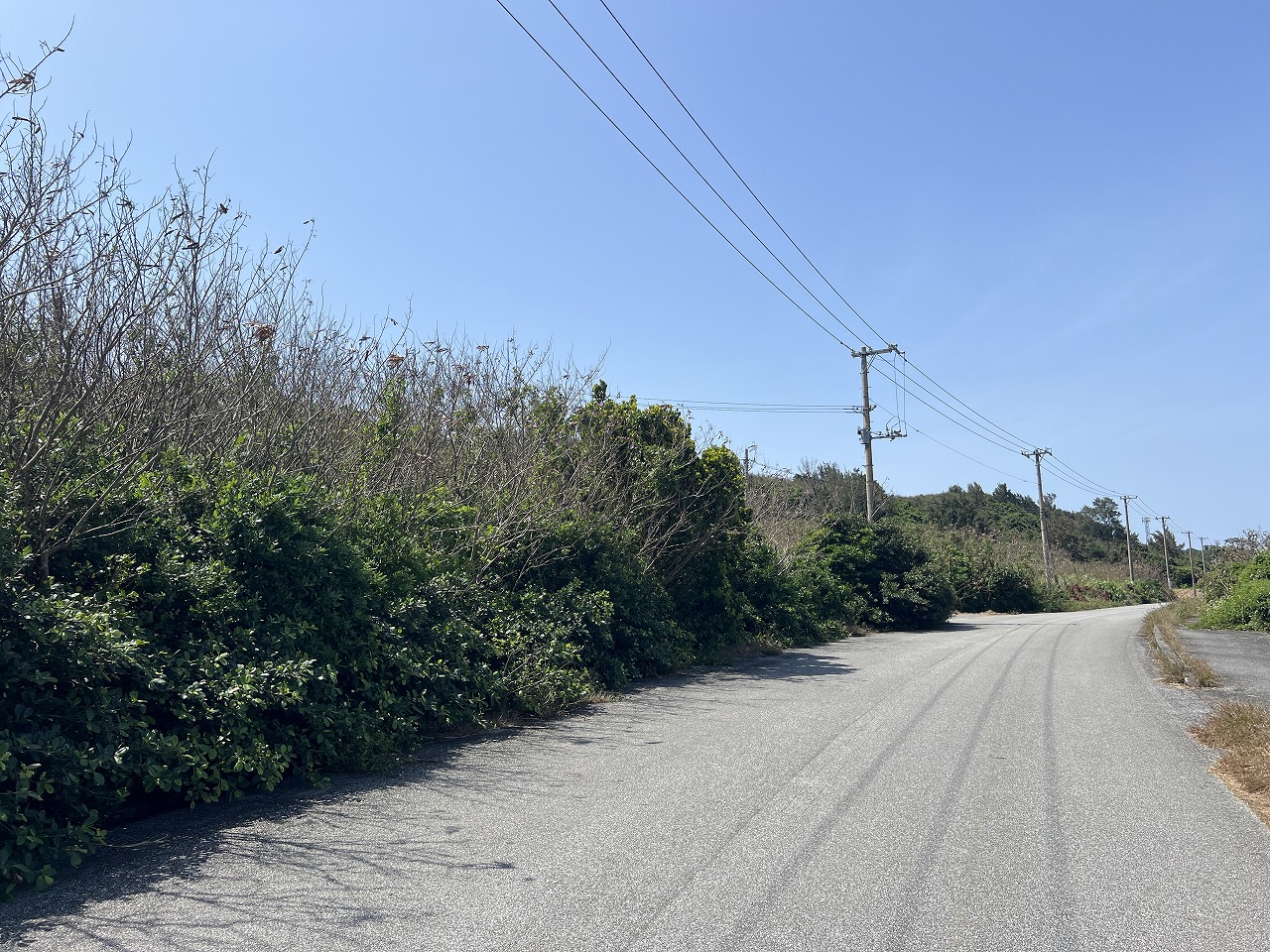 平良狩俣 海を望む角地 約405坪 原野