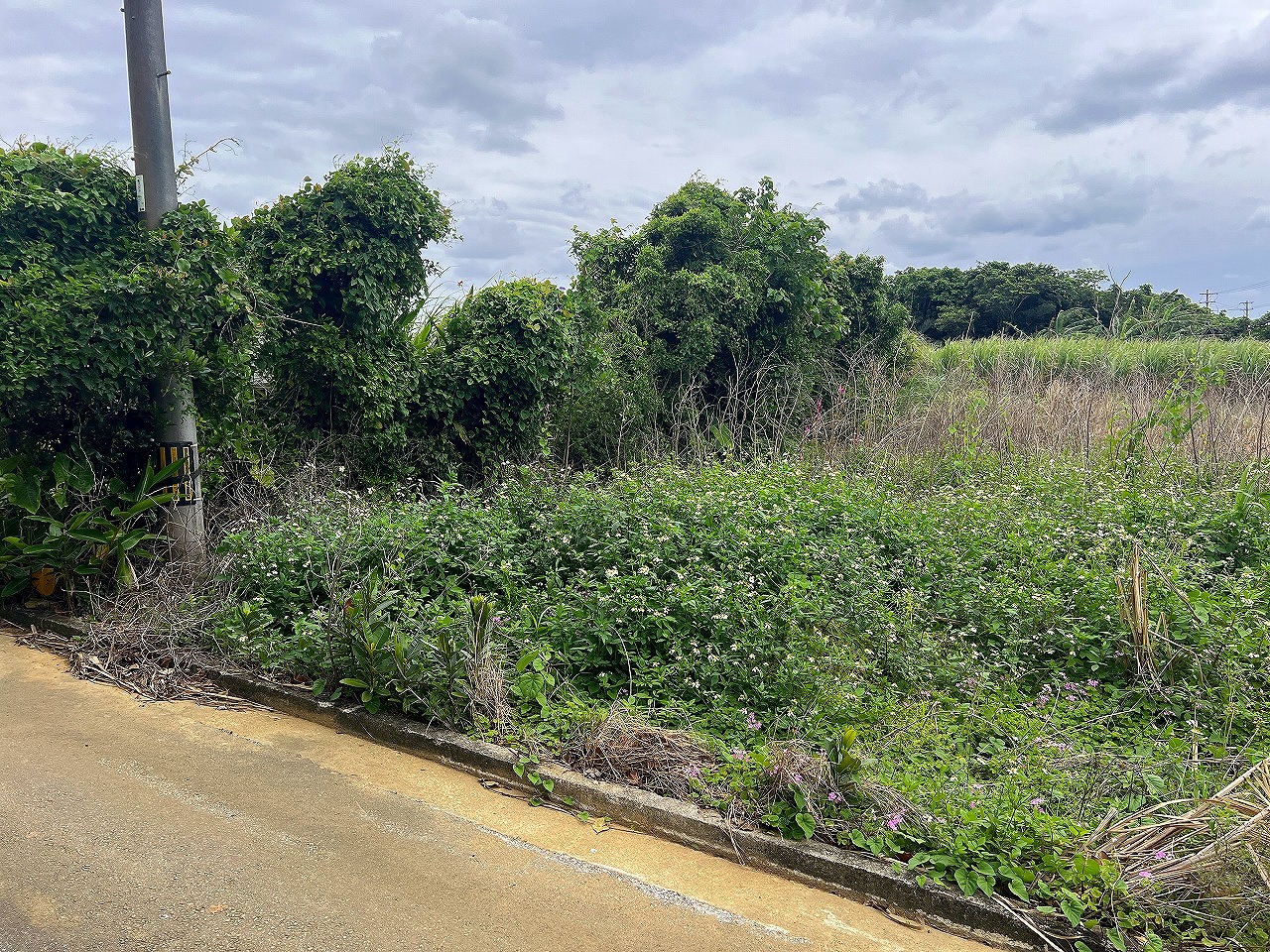 城辺長間でスローライフ 約344坪 畑