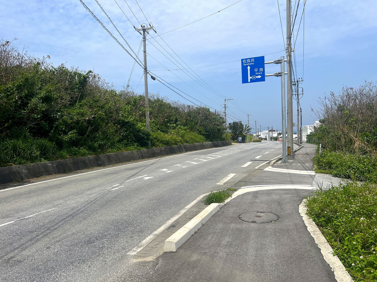 伊良部大橋からすぐ 海が一望できる土地　約721坪　原野