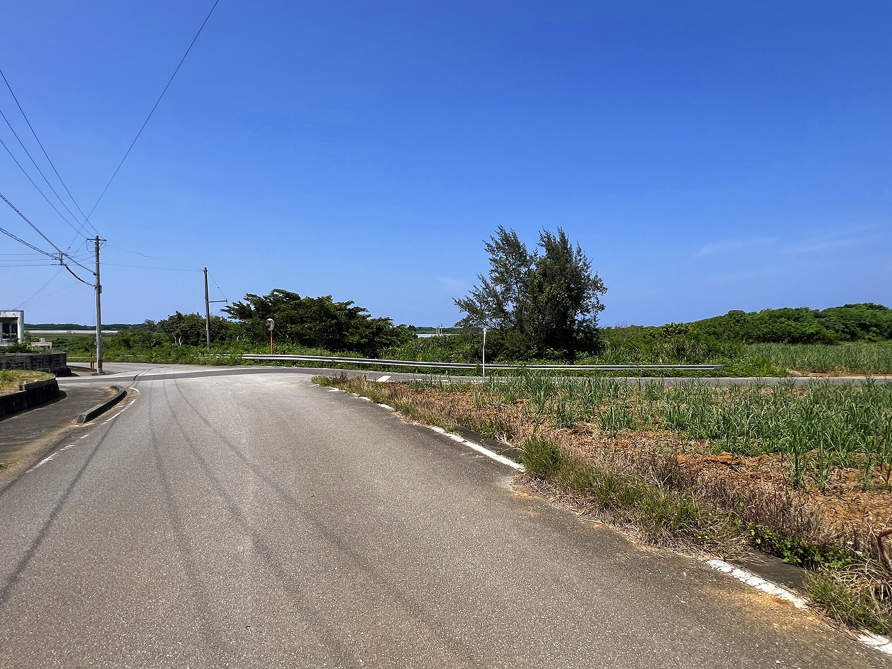 城辺福里 約1,611坪 原野・畑 古屋あり