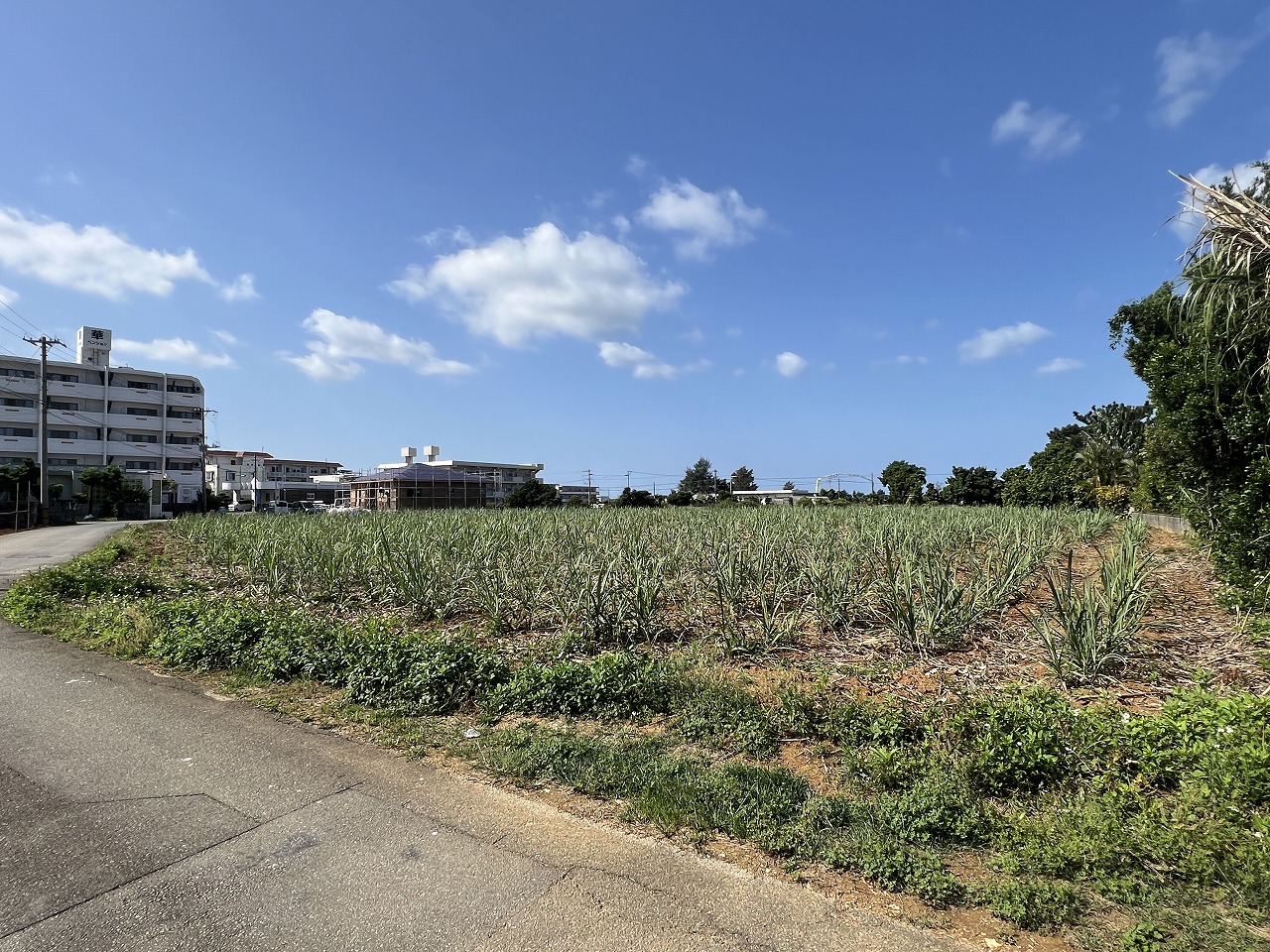 平良下里腰原の住宅用地 1,000坪 畑