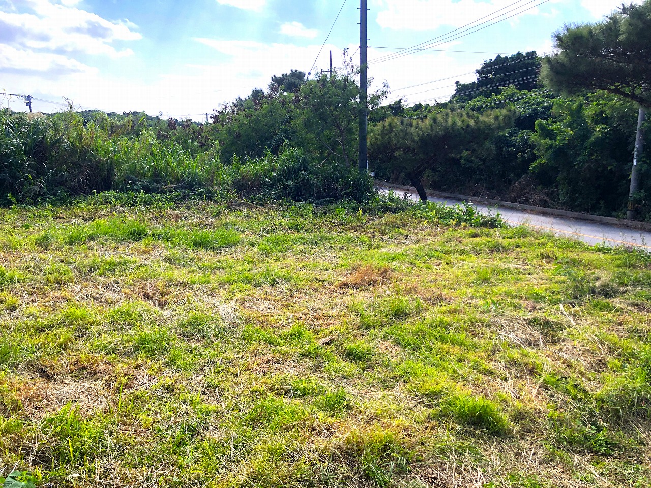 大浦でスローライフを夢見て　147坪　農用地・原野