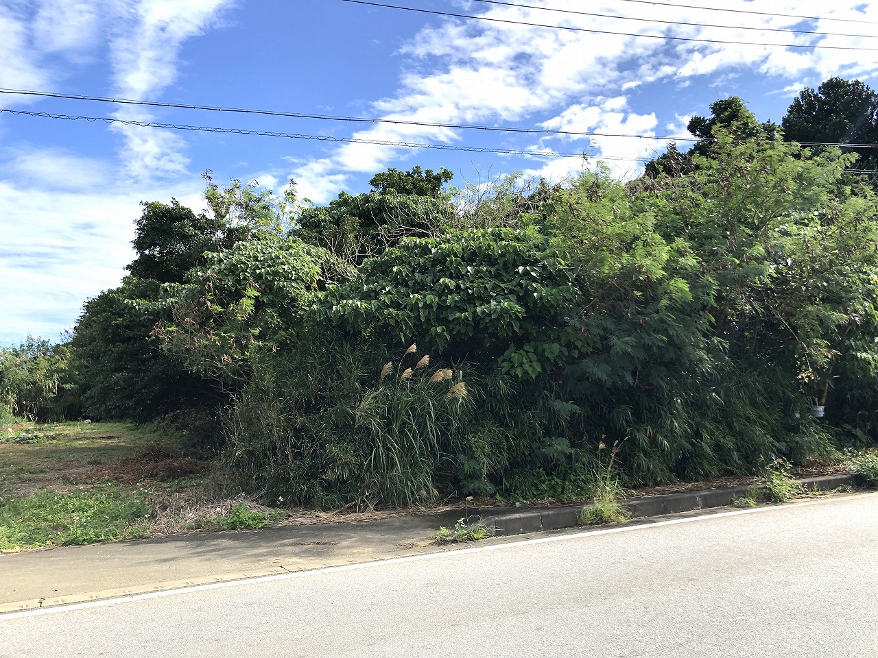 【価格改定】西仲宗根　添道の通りに面した　宅地