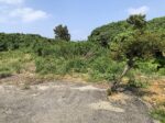平良下里の袋地　約685坪　原野