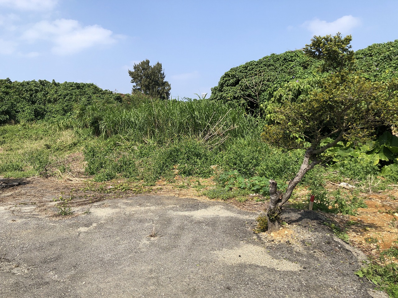 平良下里の袋地　約685坪　原野