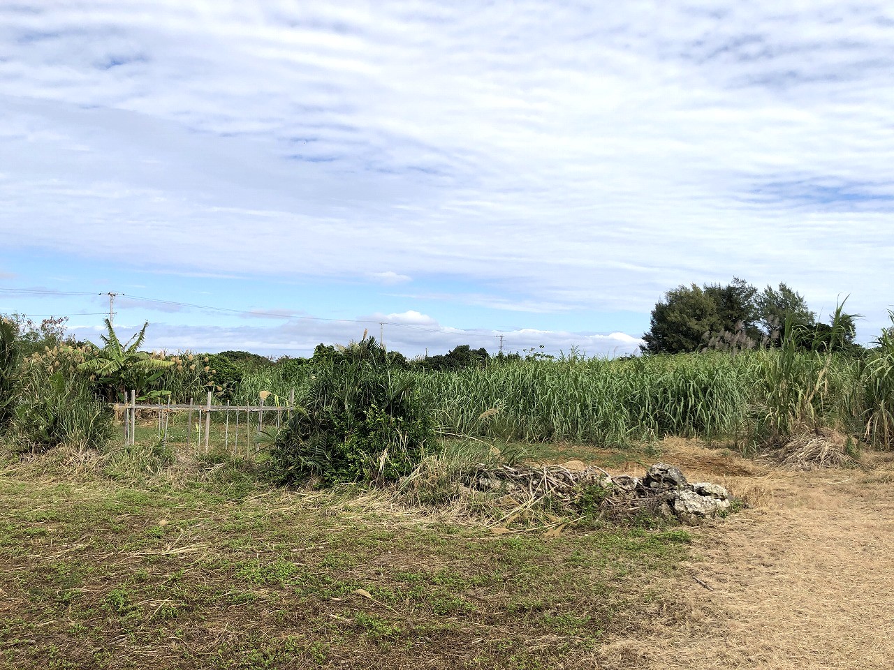 西仲宗根　添道近く　170坪　畑