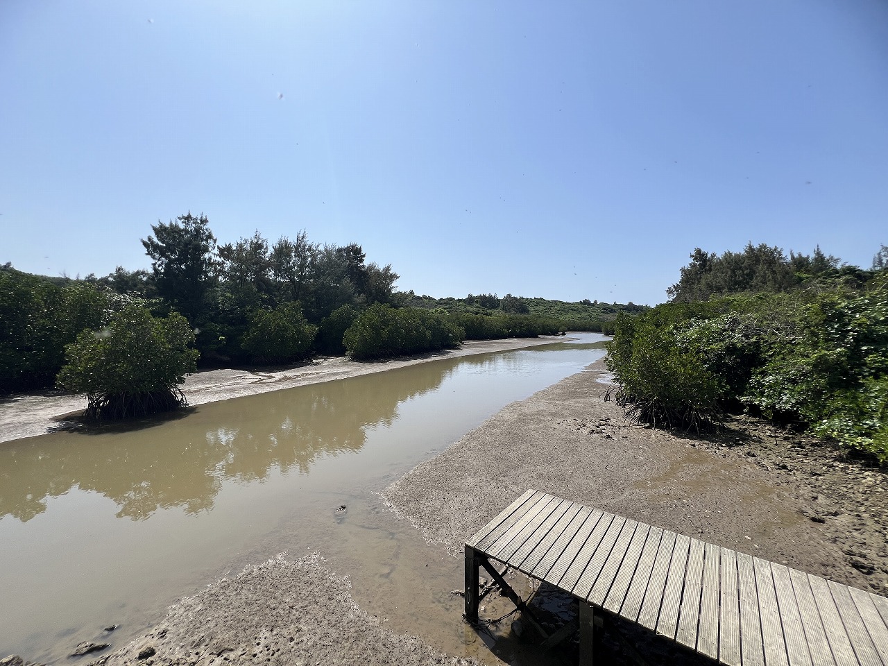 平良狩俣 マングローブ林に面した土地 約880坪 原野