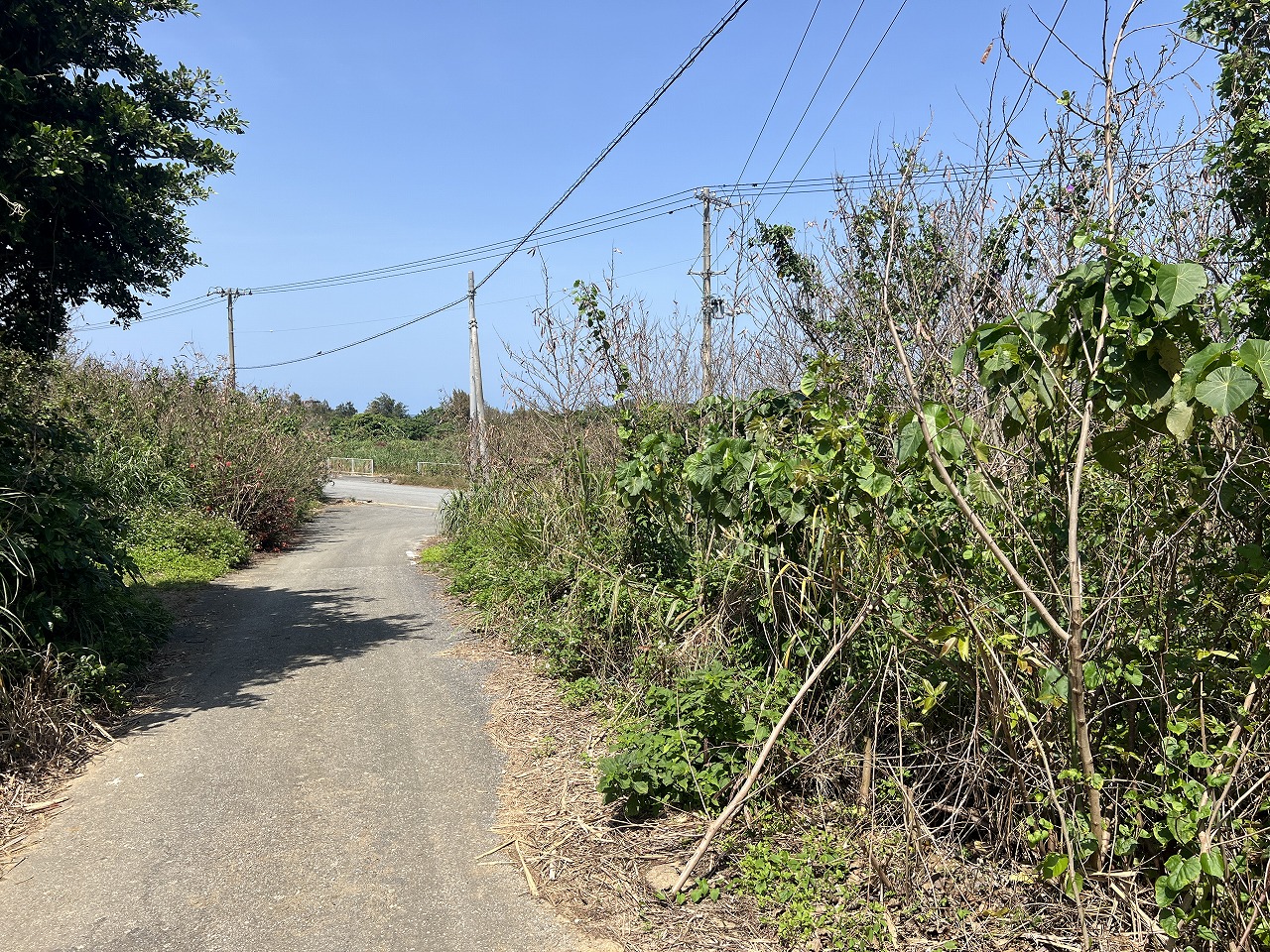 平良狩俣 海を望む角地 約405坪 原野