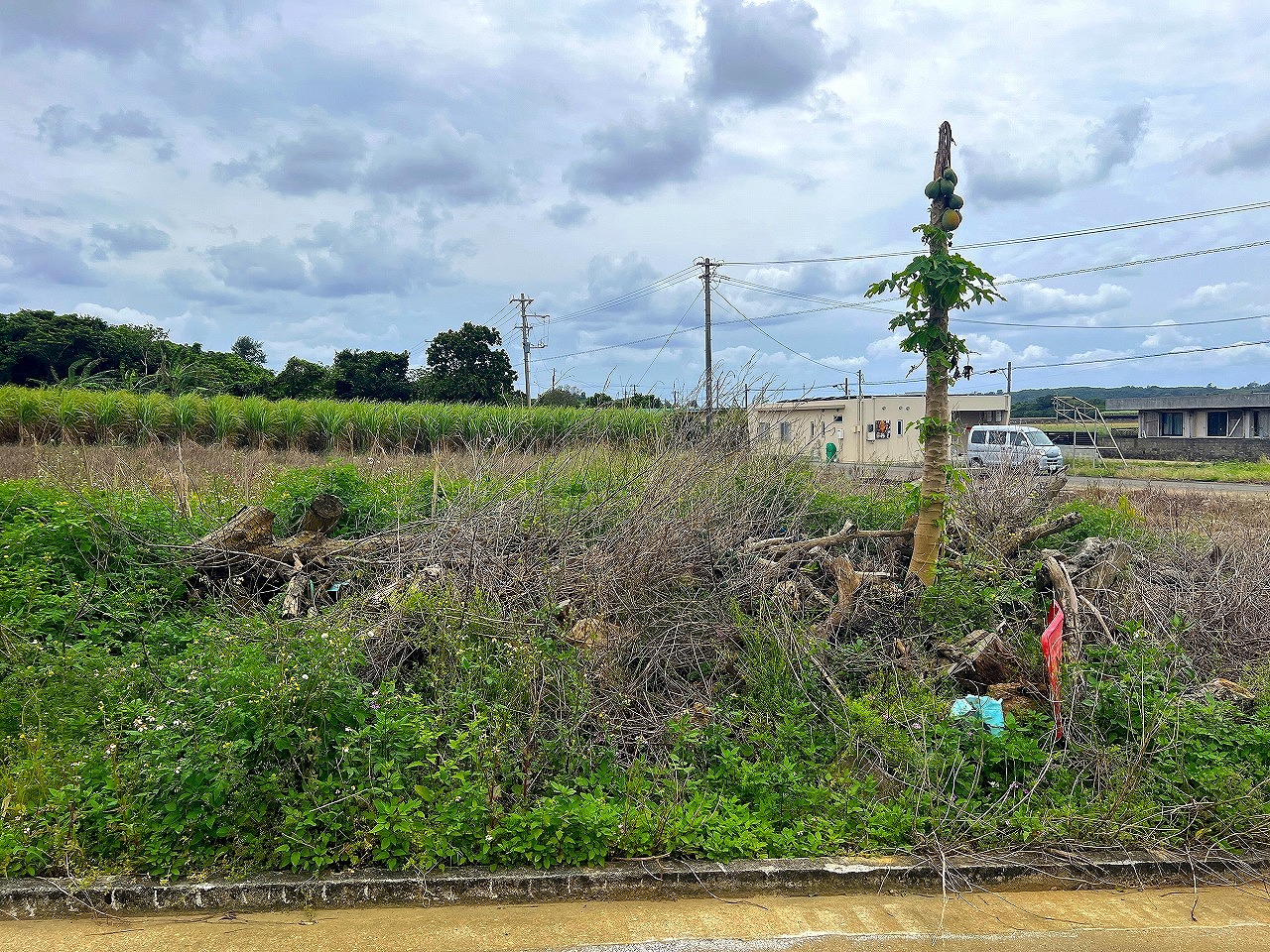 城辺長間でスローライフ 約344坪 畑
