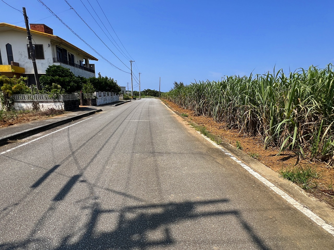 城辺福里団地横の土地　約529坪　畑