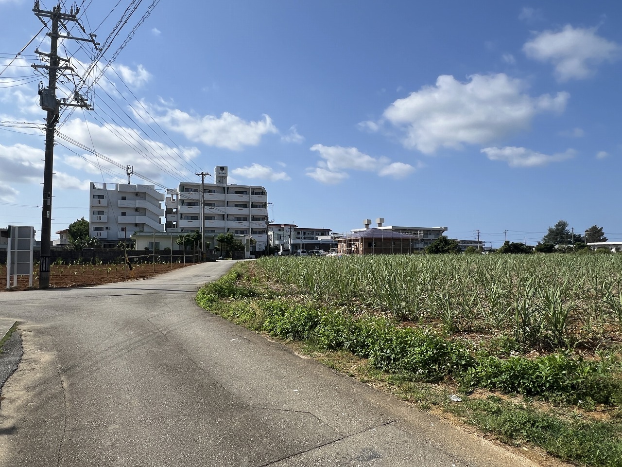 平良下里腰原の住宅用地 1,000坪 畑