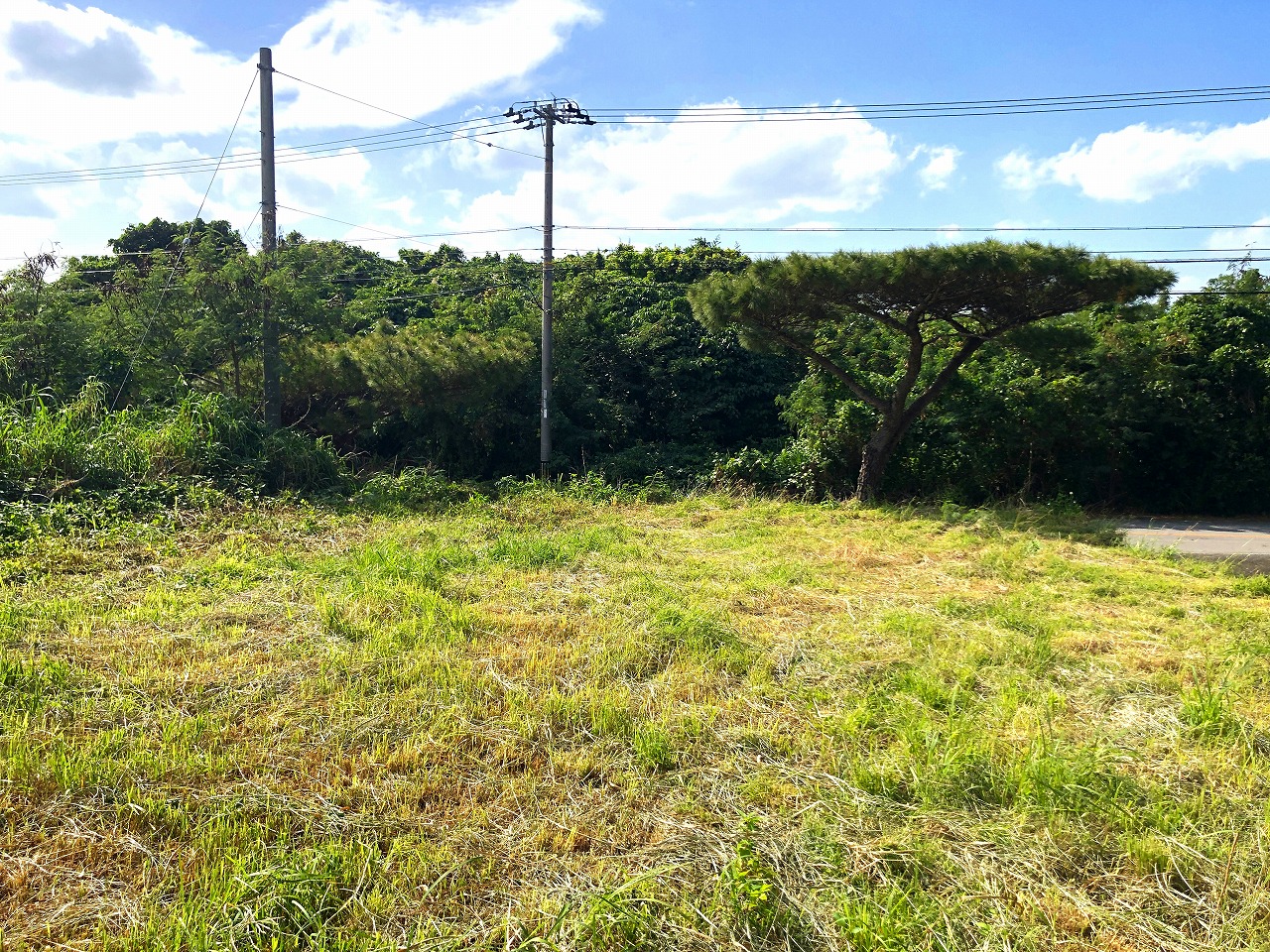 大浦でスローライフを夢見て　147坪　農用地・原野