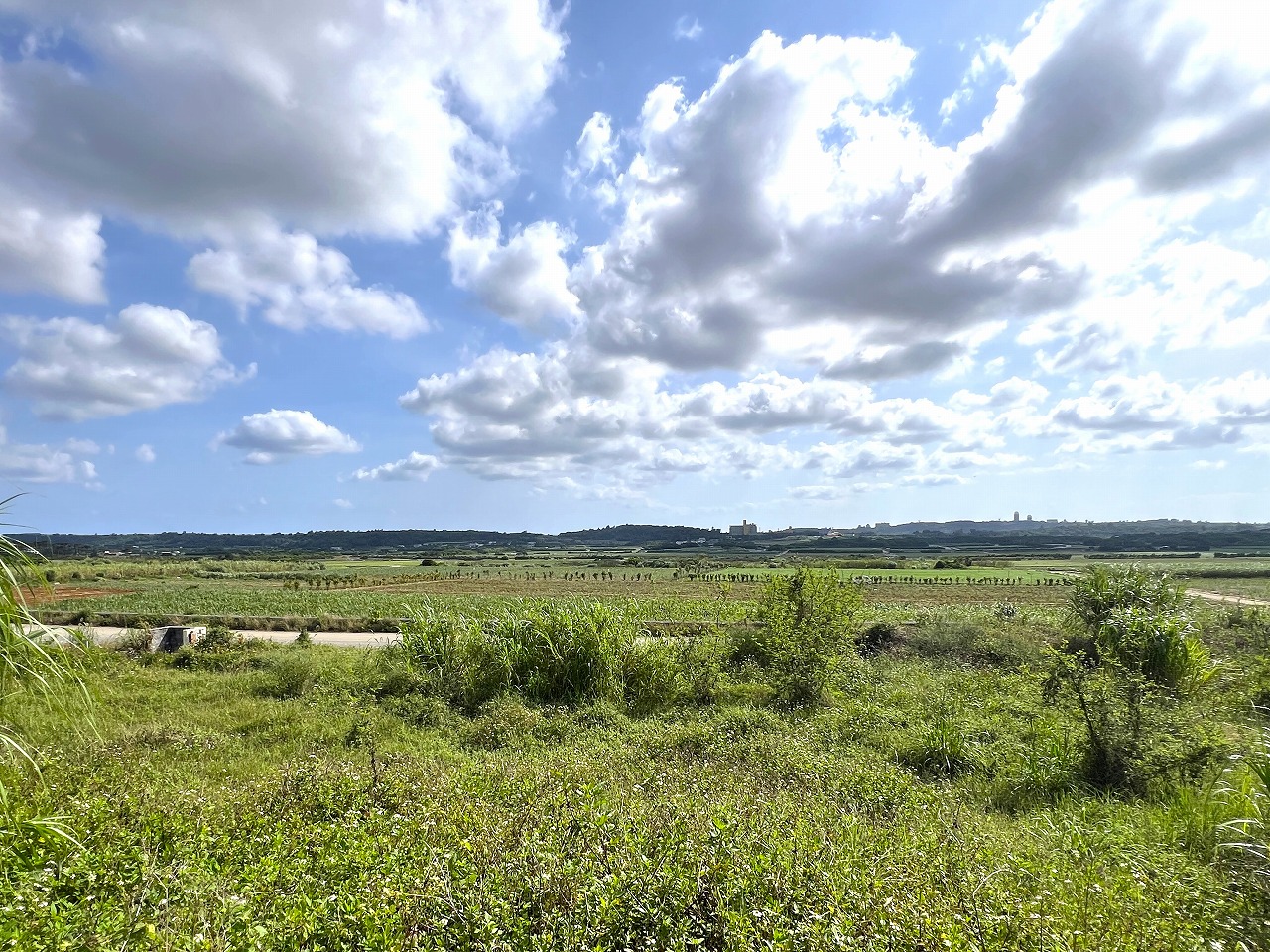 城辺長間 約1,000坪の土地と雄大な景色 木造 コテージ