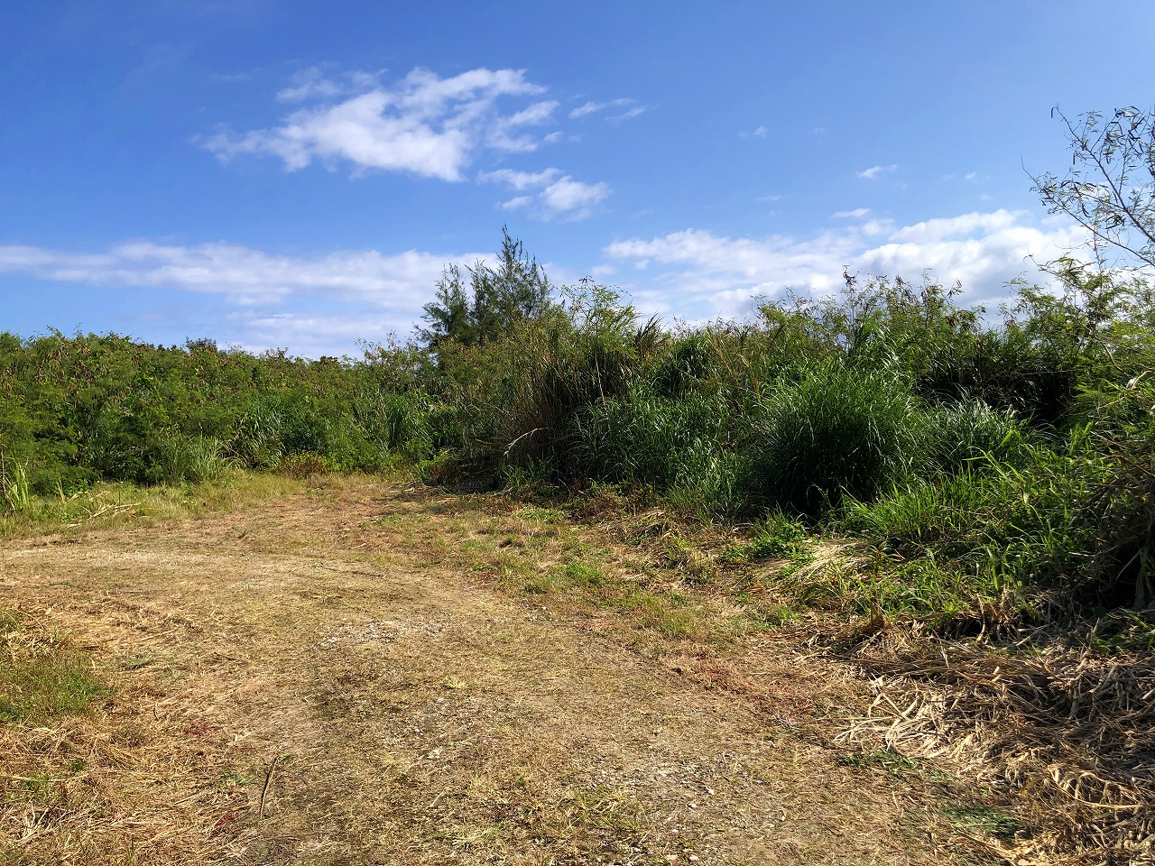 長北海岸 絶景のオーシャンビュー　約731坪　畑・原野