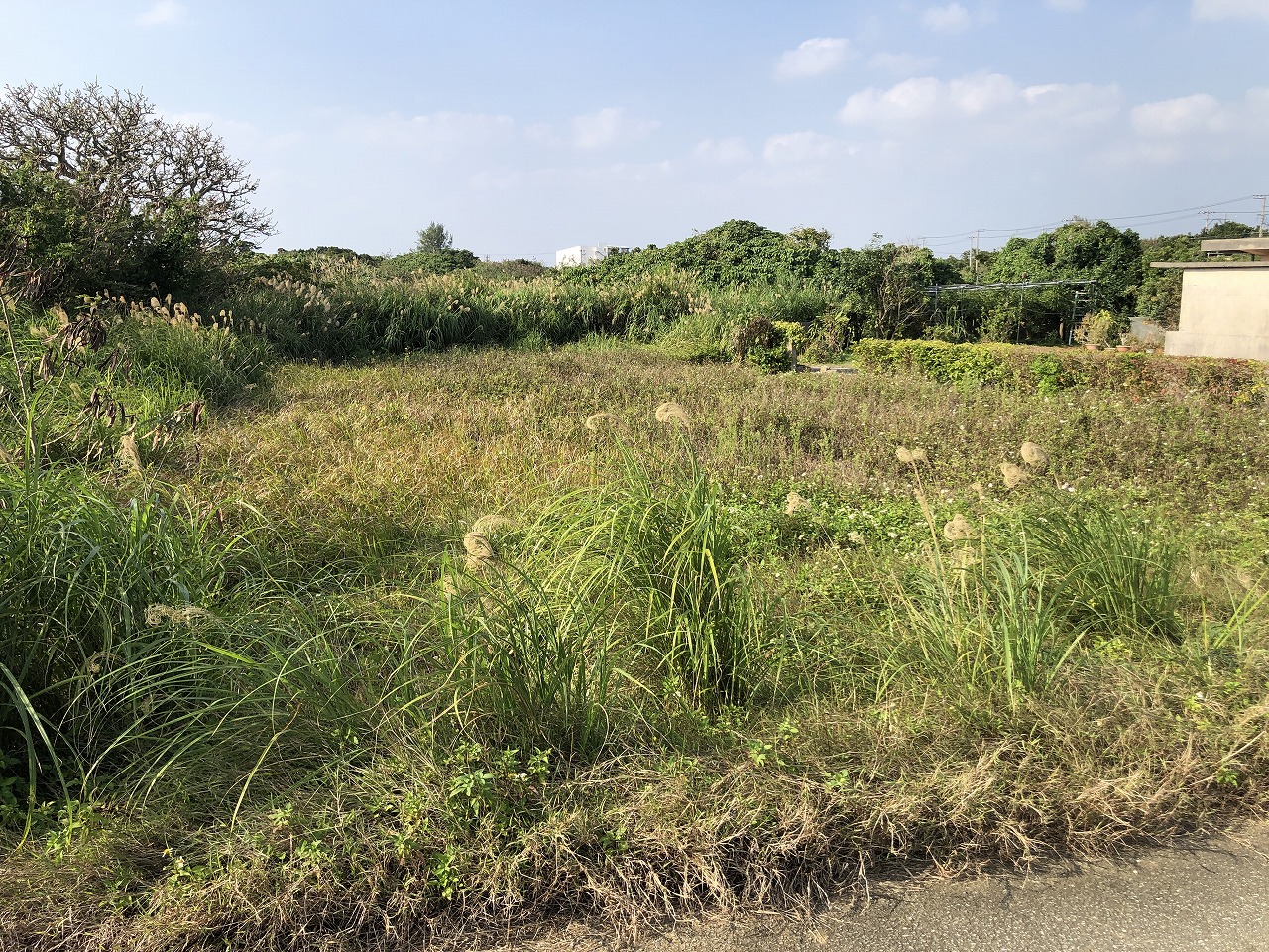 平良下里 JTAドーム南東側　2093坪　畑　農用地