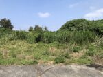 平良下里の袋地　約685坪　原野