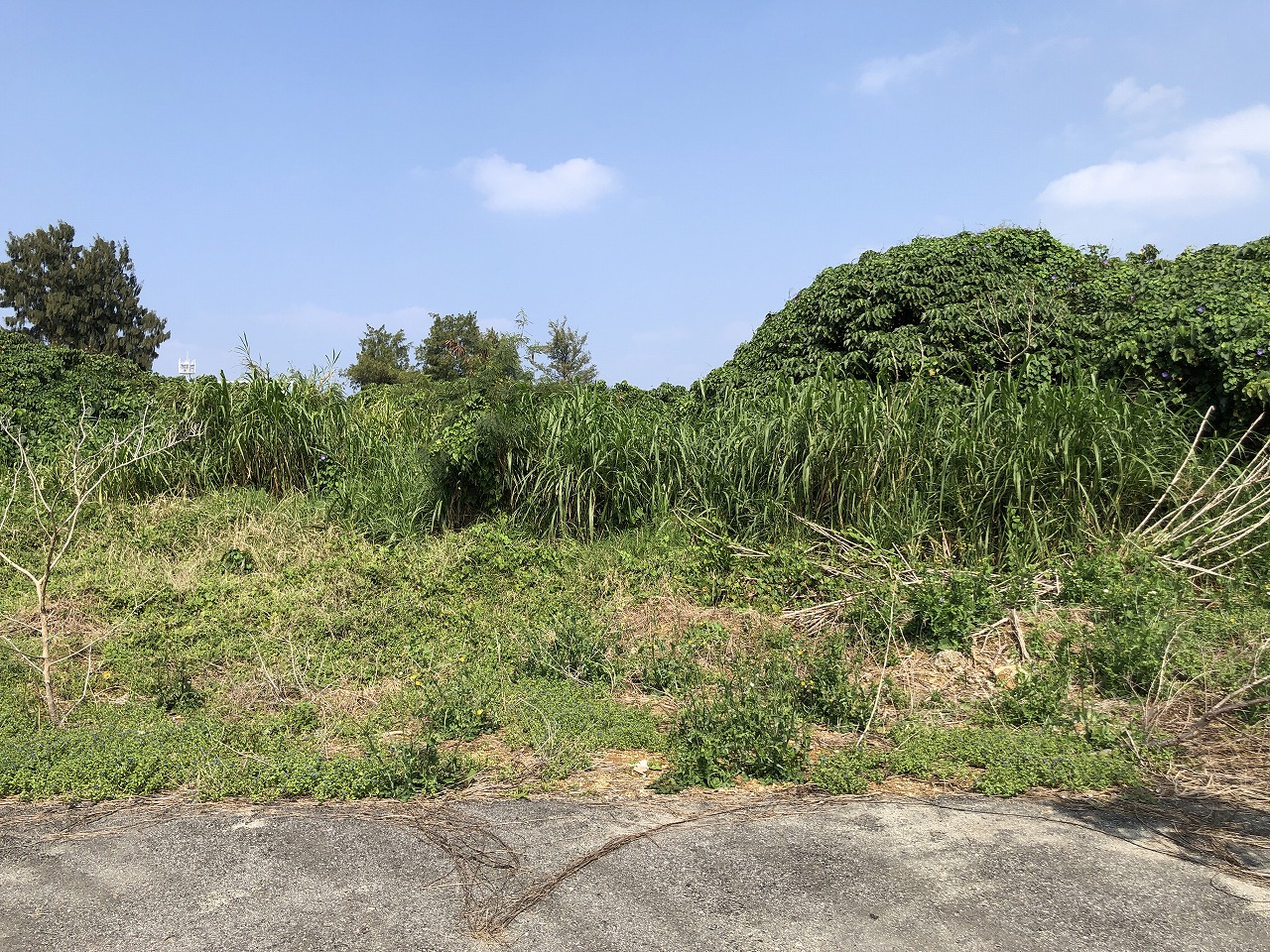 平良下里の袋地　約685坪　原野