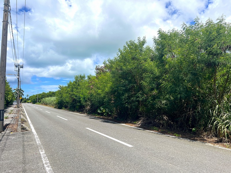 与那覇前浜ビーチ近く　約1,443坪　原野・山林