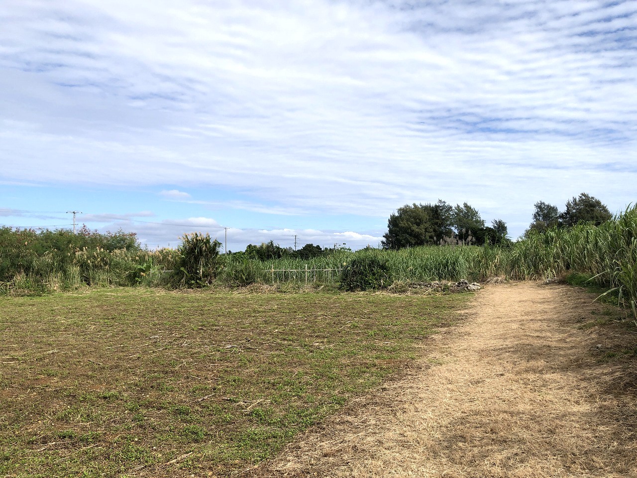 西仲宗根　添道近く　170坪　畑