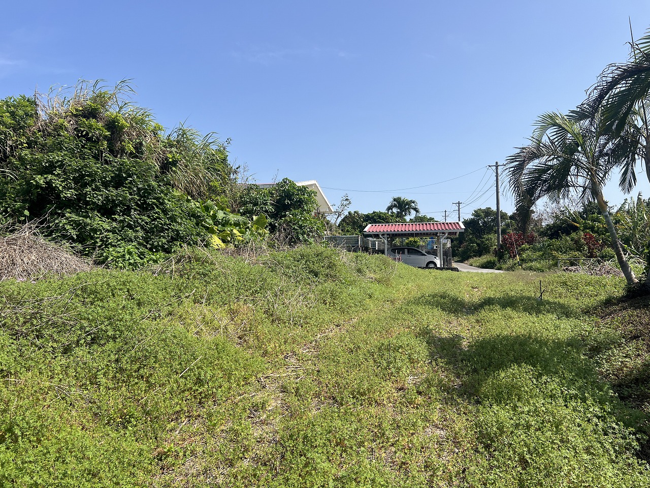 平良狩俣で畑を耕しながら暮らす　約442坪　畑