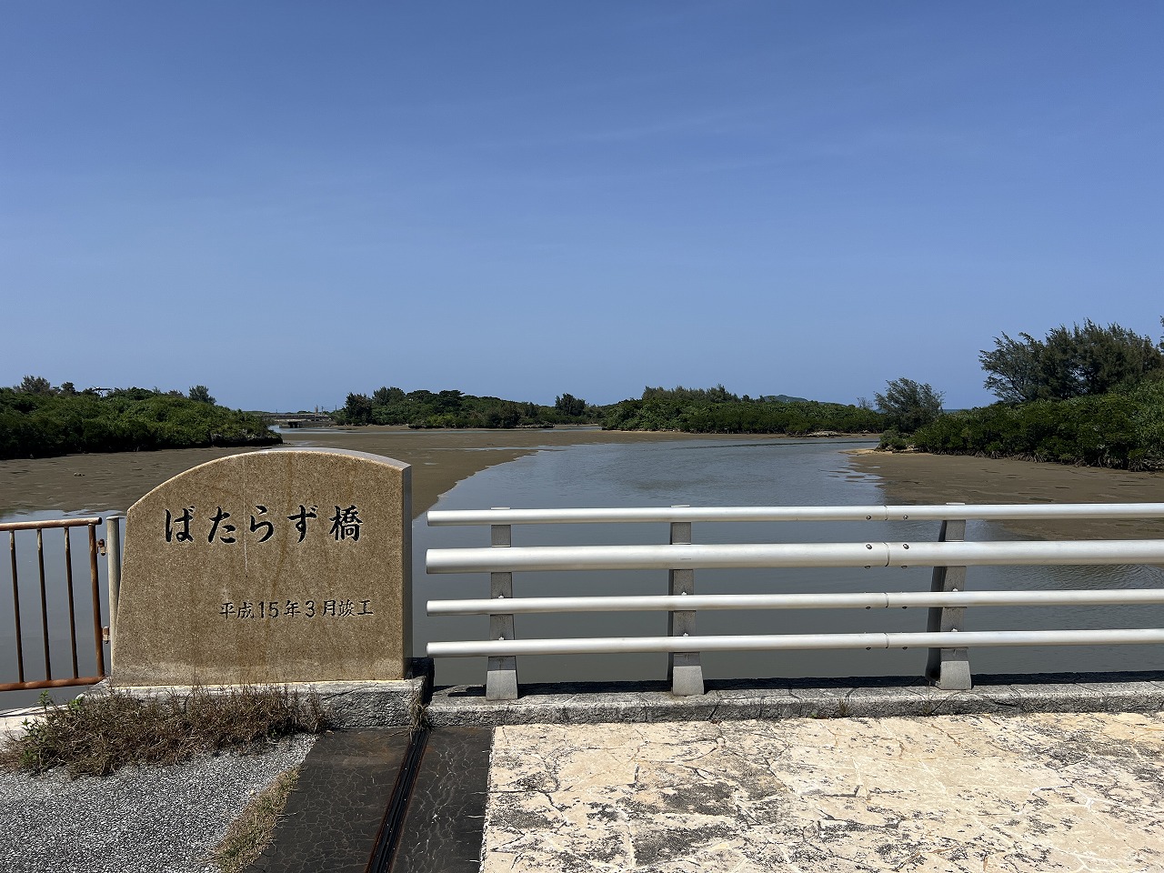 平良狩俣 海が見える土地 約1,747坪 原野