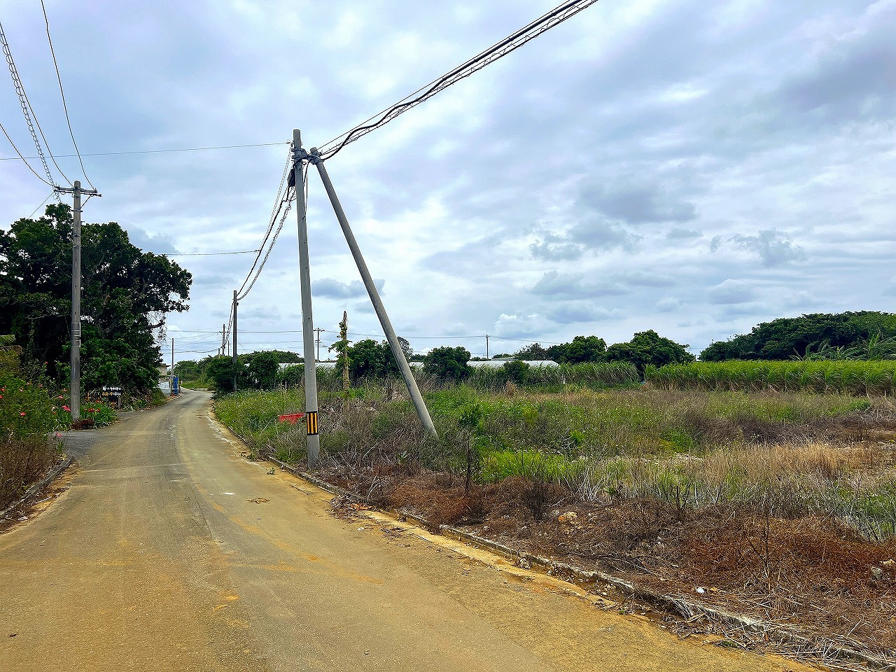 城辺長間でスローライフ 約344坪 畑