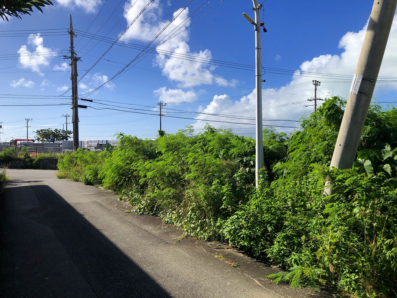 下地 与那覇湾に面した角地　284坪　原野