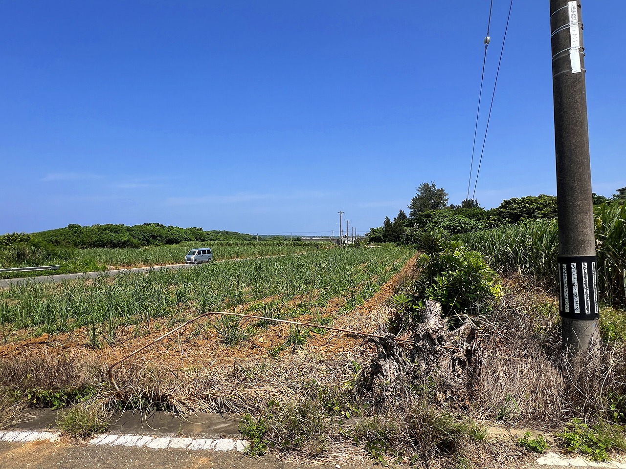 城辺福里 約1,611坪 原野・畑 古屋あり